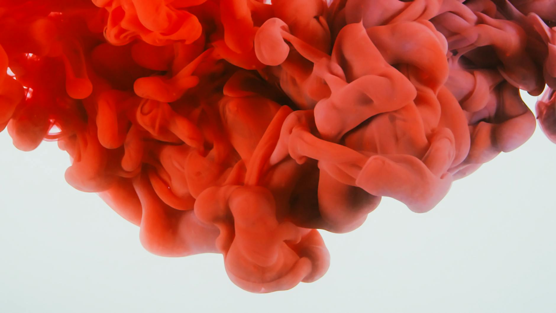 방향제 사용이 오히려 냄새를 악화시키는 이유 4