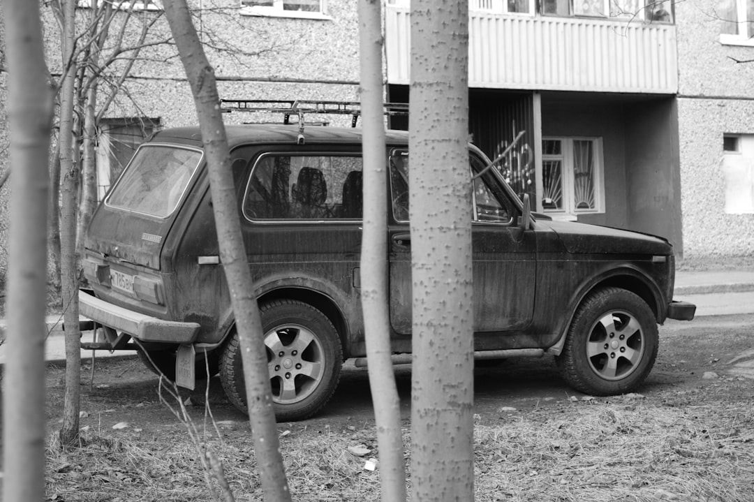 장보기 차량의 타이어 공기압 관리 기준 4