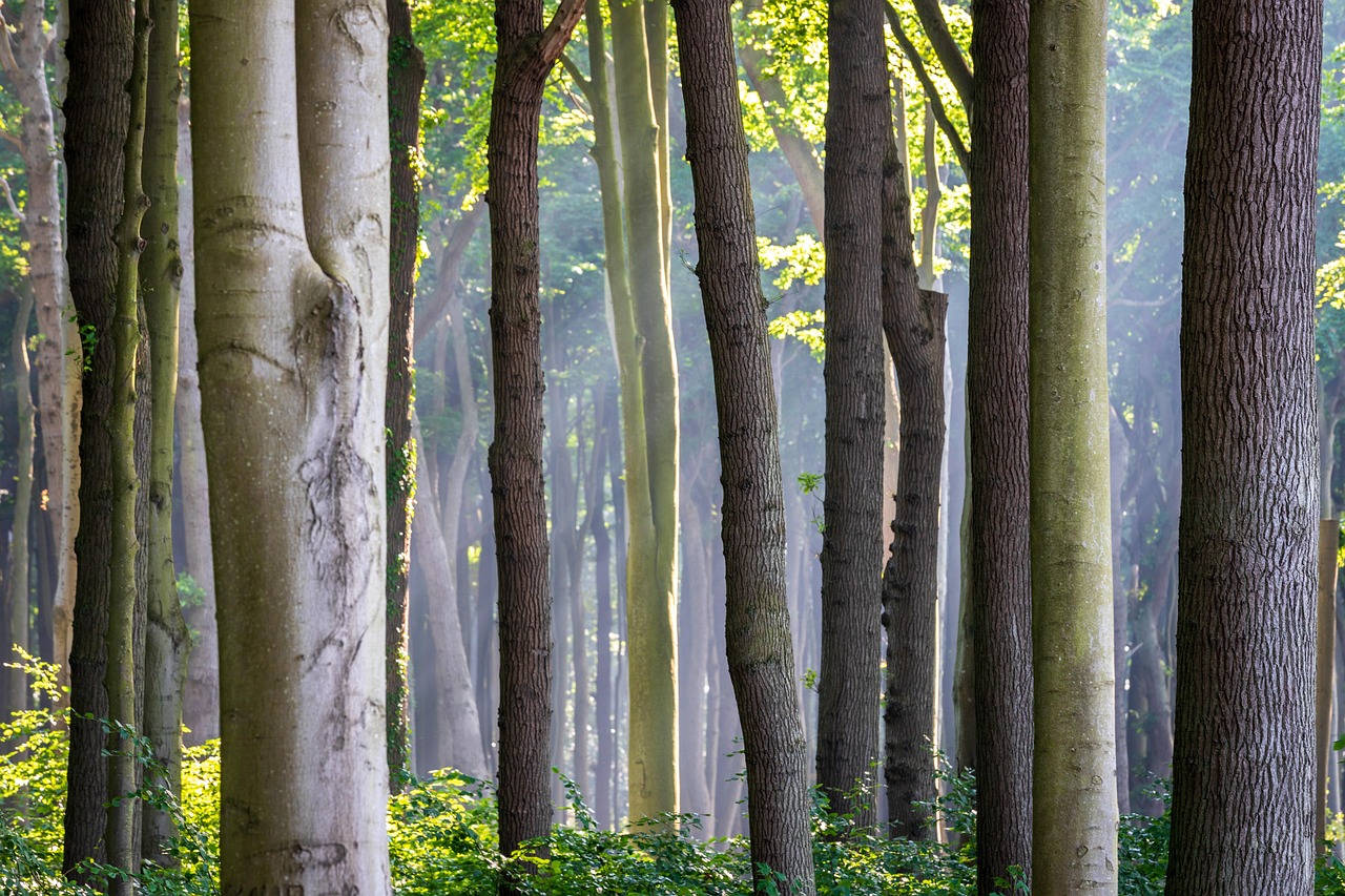 장보기 후 트렁크 적재 습관이 차량에 미치는 영향 3