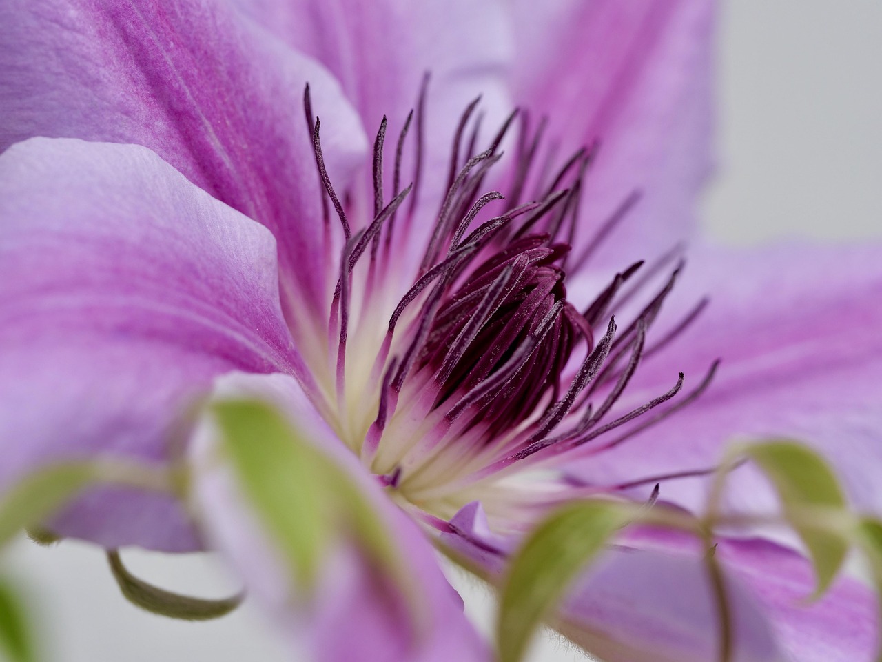 차량 내 미세먼지 필터 관리 중요성 3